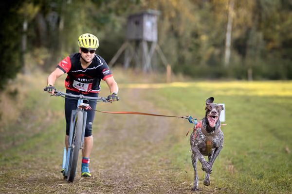 LOUKA 2026 | Český pohár ČASS — Louka - Sobota – Trasa