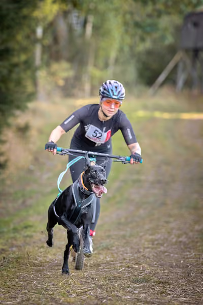 LOUKA 2026 | Český pohár ČASS — Louka - Sobota – Trasa