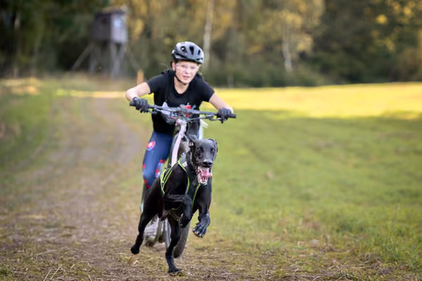 LOUKA 2026 | Český pohár ČASS — Louka - Sobota – Trasa