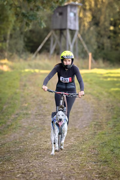 LOUKA 2026 | Český pohár ČASS — Louka - Sobota – Trasa