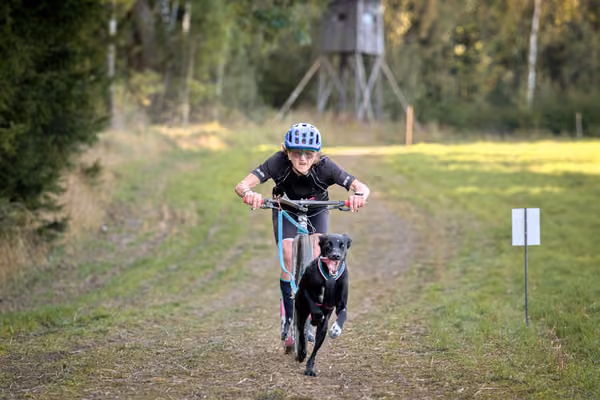 LOUKA 2026 | Český pohár ČASS — Louka - Sobota – Trasa
