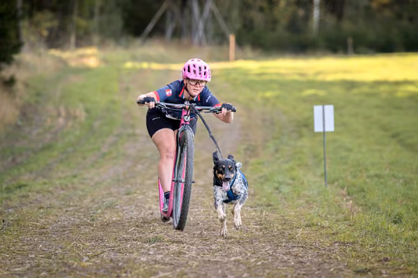 LOUKA 2026 | Český pohár ČASS — Louka - Sobota – Trasa