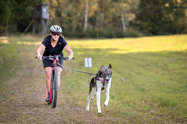 LOUKA 2026 | Český pohár ČASS — Louka - Sobota – Trasa