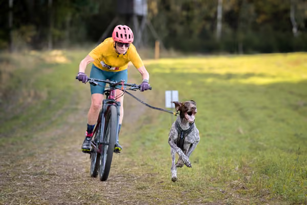 LOUKA 2026 | Český pohár ČASS — Louka - Sobota – Trasa