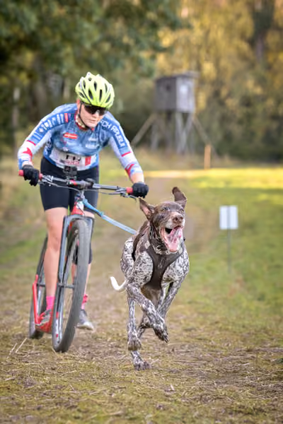 LOUKA 2026 | Český pohár ČASS — Louka - Sobota – Trasa
