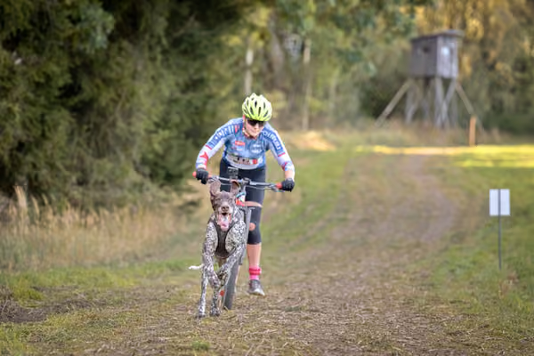 LOUKA 2026 | Český pohár ČASS — Louka - Sobota – Trasa