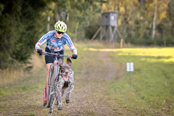 LOUKA 2026 | Český pohár ČASS — Louka - Sobota – Trasa