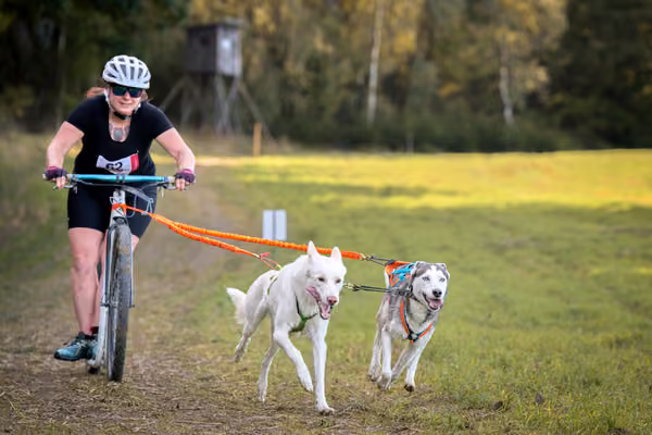 LOUKA 2026 | Český pohár ČASS — Louka - Sobota – Trasa
