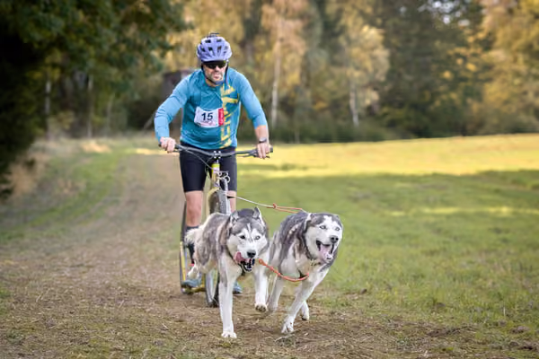 LOUKA 2026 | Český pohár ČASS — Louka - Sobota – Trasa