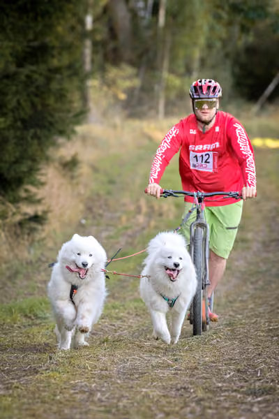 LOUKA 2026 | Český pohár ČASS — Louka - Sobota – Trasa
