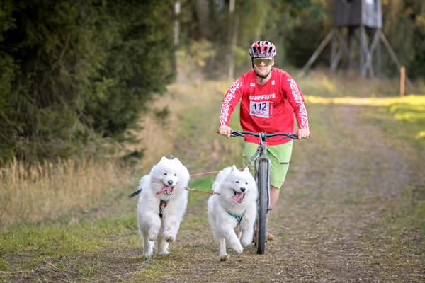 LOUKA 2026 | Český pohár ČASS — Louka - Sobota – Trasa