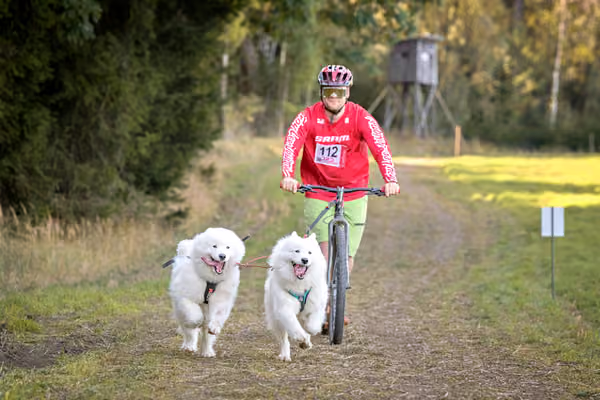 LOUKA 2026 | Český pohár ČASS — Louka - Sobota – Trasa