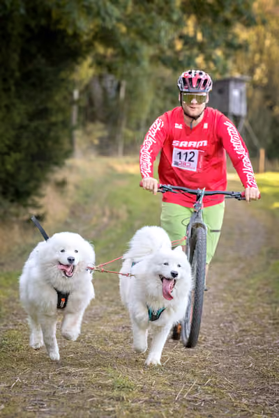 LOUKA 2026 | Český pohár ČASS — Louka - Sobota – Trasa