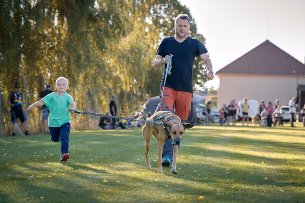 LOUKA 2026 | Český pohár ČASS — Louka - Sobota – Děti a junioři