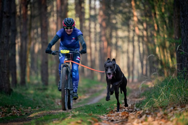 Libová Jízda 2026 - Spring — Libová jízda – BKJ