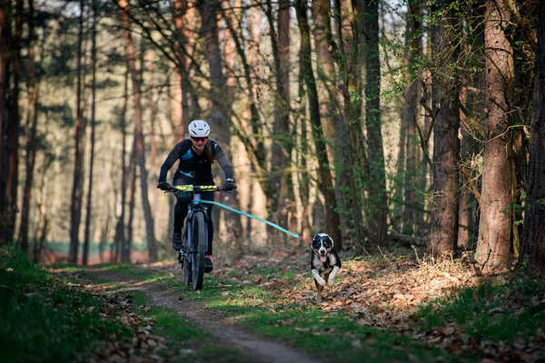 Libová Jízda 2026 - Spring — Libová jízda – BKJ