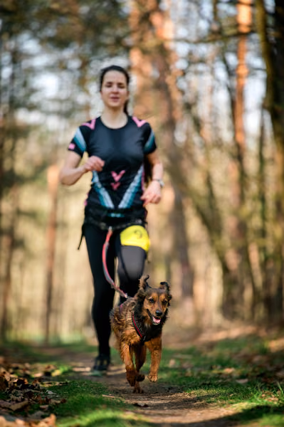 Libová Jízda 2026 - Spring — Libová jízda – CC