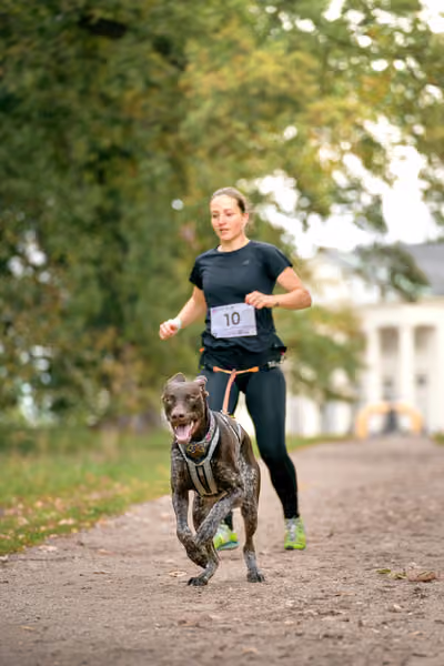 CaniKačinaCross 2026 – 11. října 2026