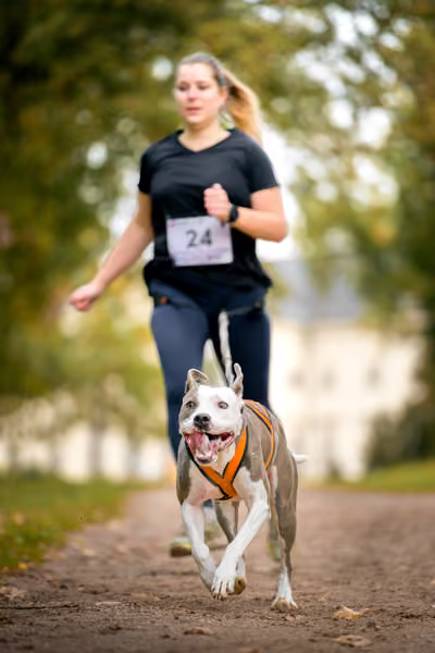 CaniKačinaCross 2026 – 11. října 2026