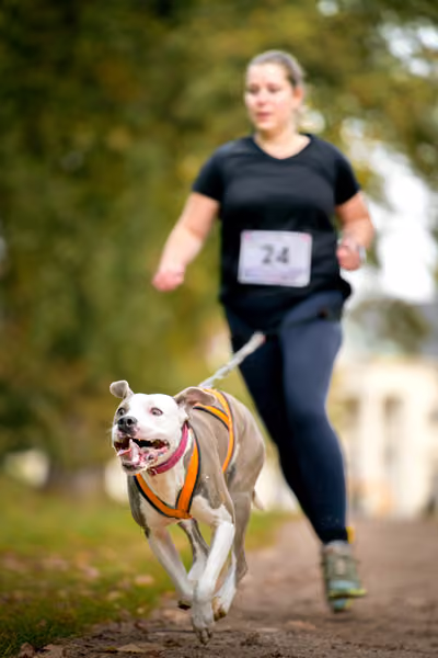 CaniKačinaCross 2026 – 11. října 2026