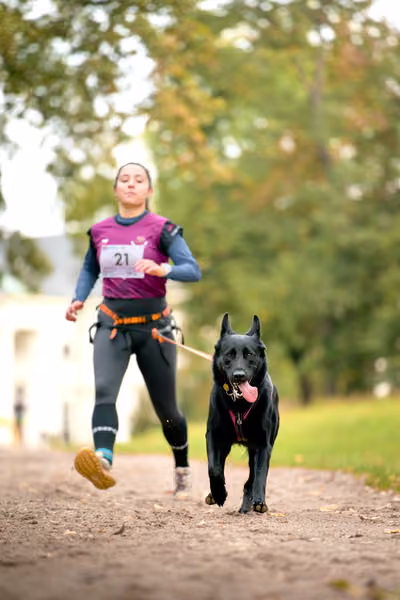 CaniKačinaCross 2026 – 11. října 2026