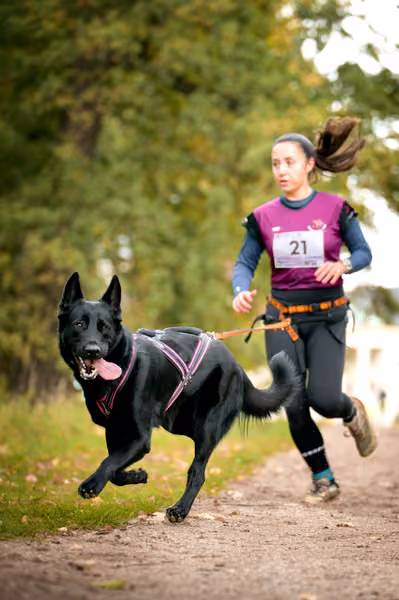 CaniKačinaCross 2026 – 11. října 2026