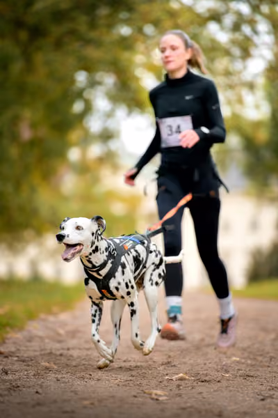 CaniKačinaCross 2026 – 11. října 2026