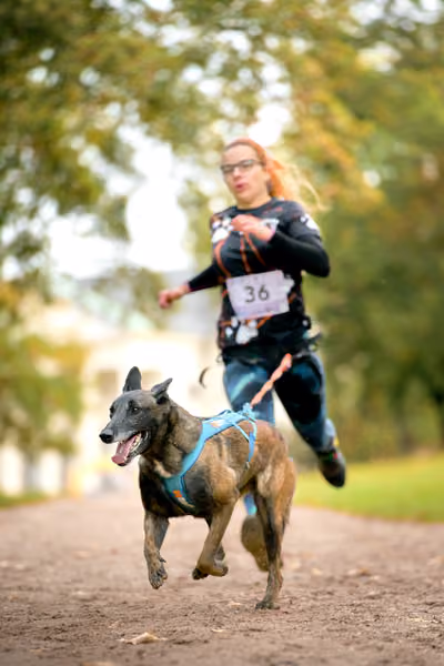 CaniKačinaCross 2026 – 11. října 2026