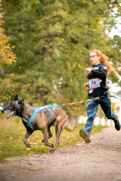 CaniKačinaCross 2026 – 11. října 2026