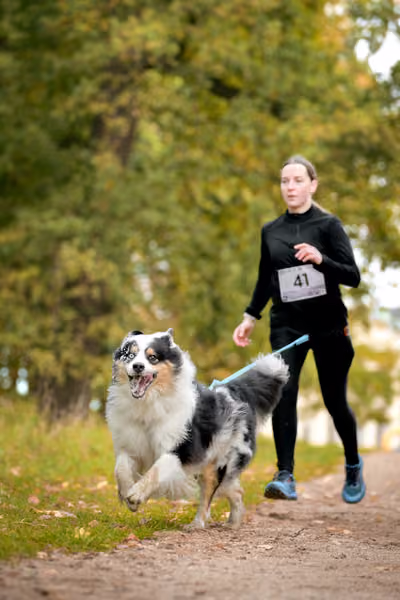 CaniKačinaCross 2026 – 11. října 2026