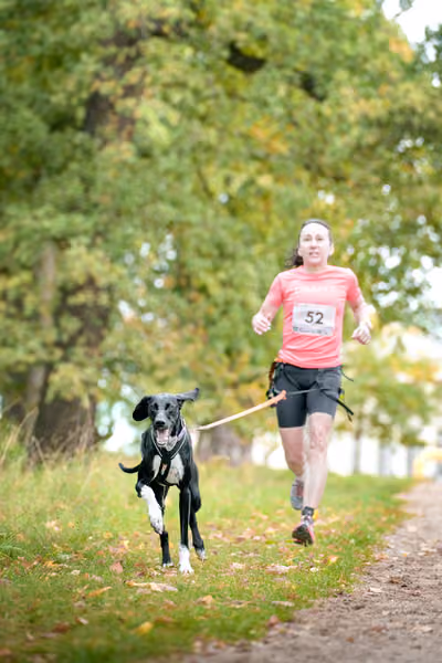 CaniKačinaCross 2026 – 11. října 2026