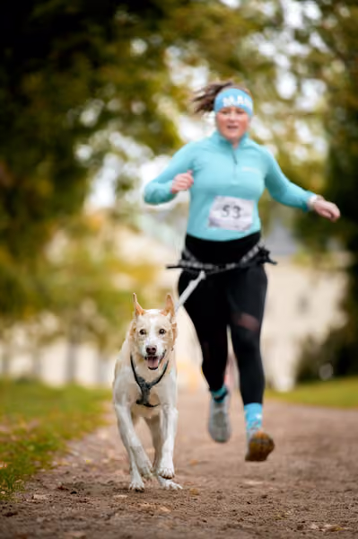 CaniKačinaCross 2026 – 11. října 2026