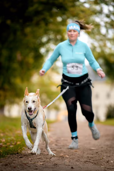 CaniKačinaCross 2026 – 11. října 2026