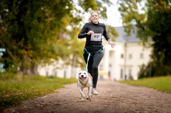 CaniKačinaCross 2026 – 11. října 2026