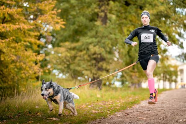 CaniKačinaCross 2026 – 11. října 2026