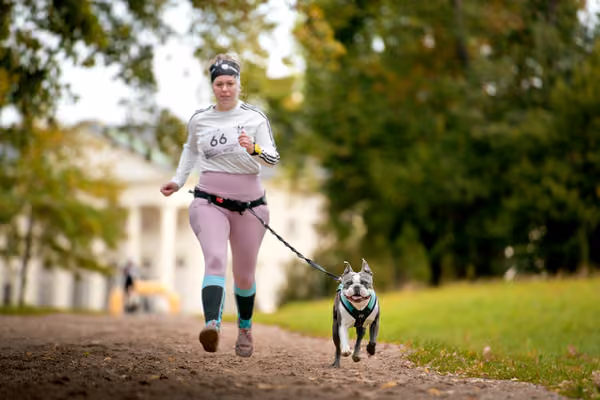 CaniKačinaCross 2026 – 11. října 2026