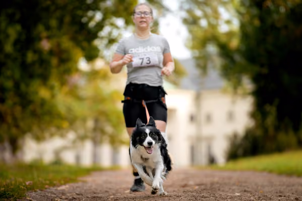 CaniKačinaCross 2026 – 11. října 2026