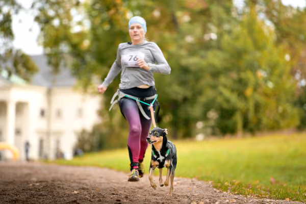 CaniKačinaCross 2026 – 11. října 2026