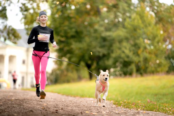 CaniKačinaCross 2026 – 11. října 2026