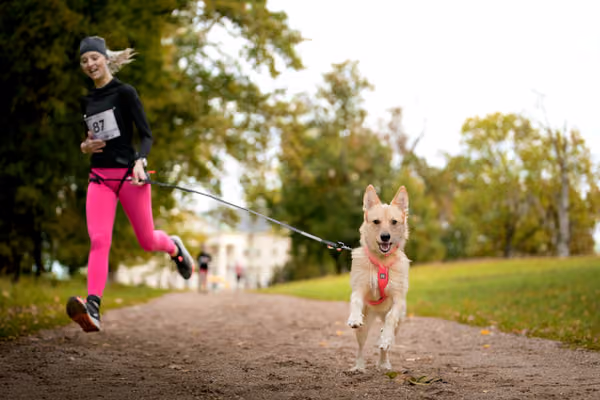 CaniKačinaCross 2026 – 11. října 2026