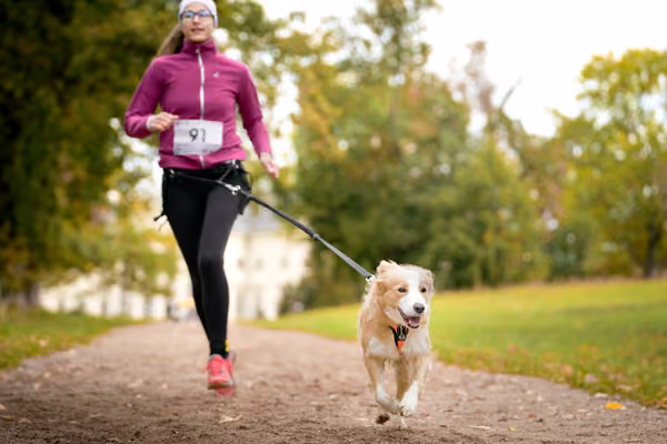 CaniKačinaCross 2026 – 11. října 2026