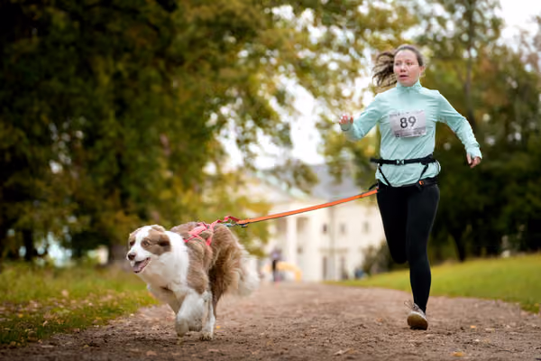 CaniKačinaCross 2026 – 11. října 2026