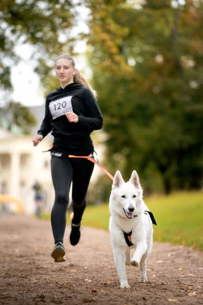 CaniKačinaCross 2026 – 11. října 2026
