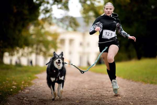 CaniKačinaCross 2026 – 11. října 2026