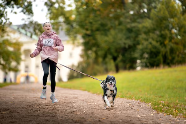 CaniKačinaCross 2026 – 11. října 2026