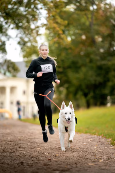 CaniKačinaCross 2026 – 11. října 2026