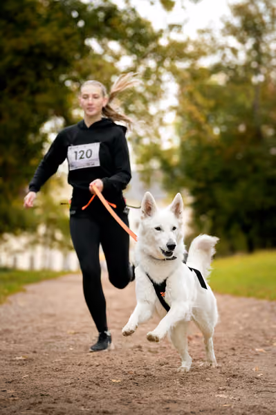CaniKačinaCross 2026 – 11. října 2026