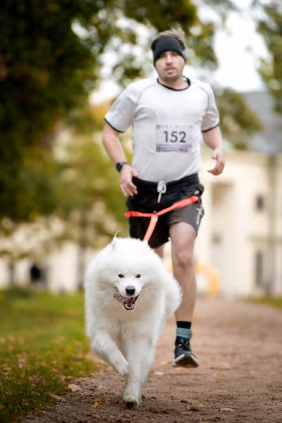 CaniKačinaCross 2026 – 11. října 2026