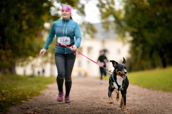 CaniKačinaCross 2026 – 11. října 2026