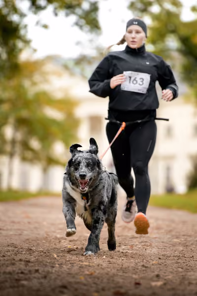CaniKačinaCross 2026 – 11. října 2026